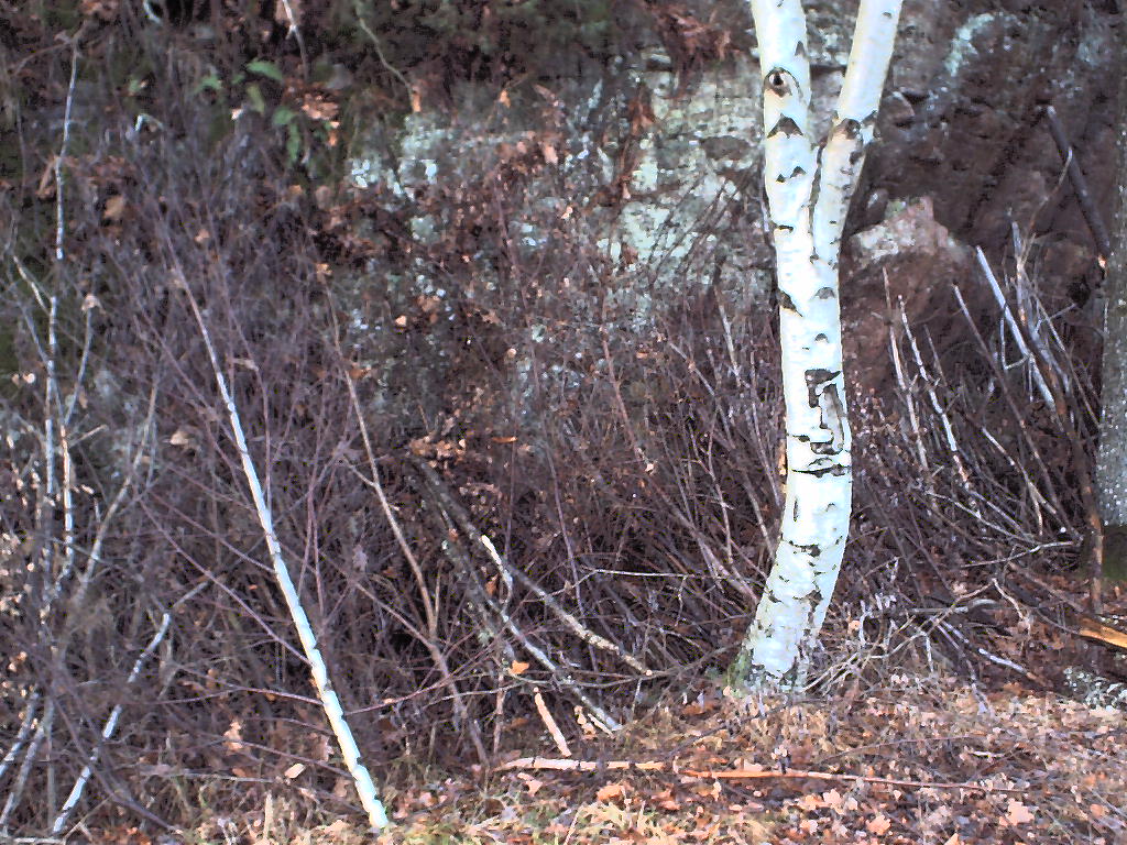 Stötteberget.